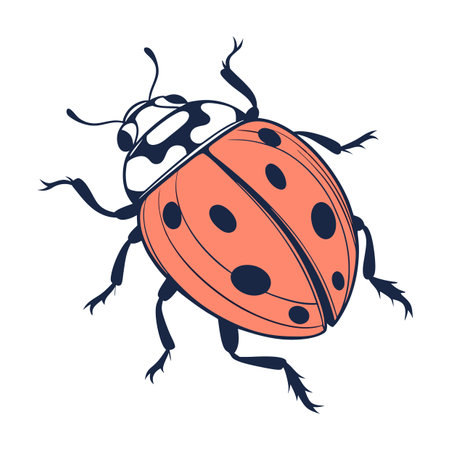 Stylish Beetle Design on White Backgroundのイラスト素材