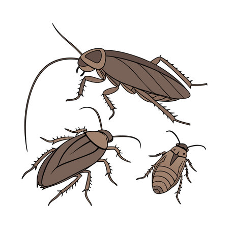 Stylish Cockroaches Illustrationのイラスト素材