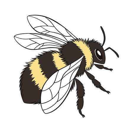 Stylish Bombus Terrestris Bee Illustrationのイラスト素材