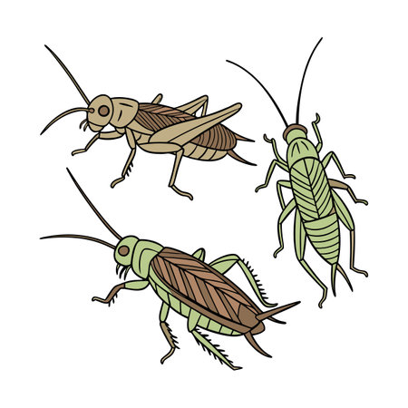 Creative Crickets Graphicのイラスト素材