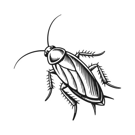 Stylish Cockroach Designのイラスト素材