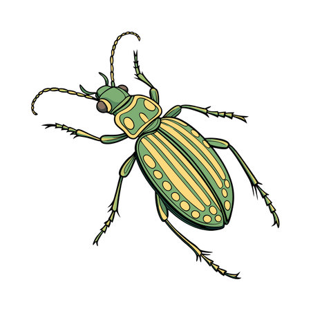 Artistic Carabus Auratus Beetle Graphicのイラスト素材