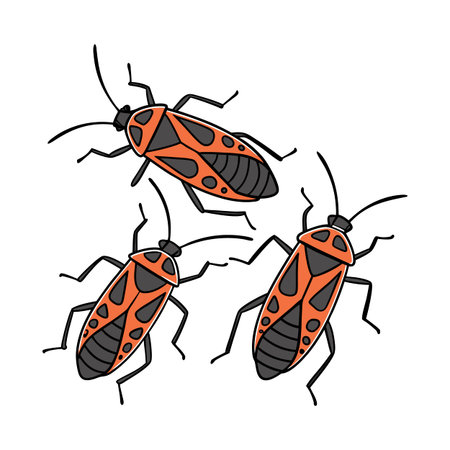 Boxelder Bugs Group Design on White