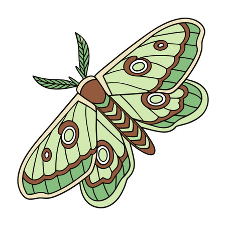 Stylish Coscinocera Hercules Moth Illustrationのイラスト素材