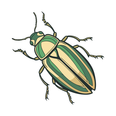 Chrysochroa Rajah Beetle Design on Whiteのイラスト素材