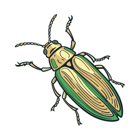 Creative Chrysochroa Fulgidissima Graphicのイラスト素材