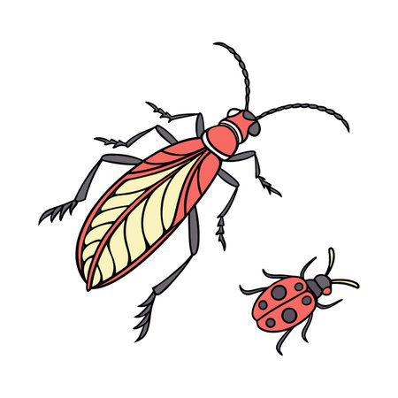 Stylish Diogmites Misellus Fly Illustrationのイラスト素材