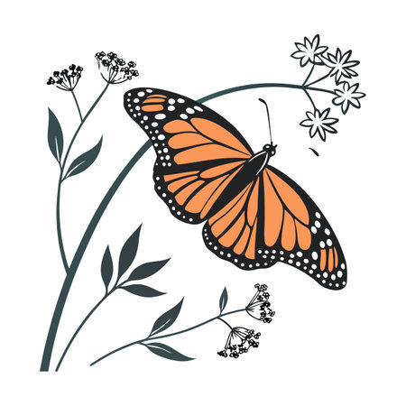 Beautiful Danaus Plexippus Designのイラスト素材