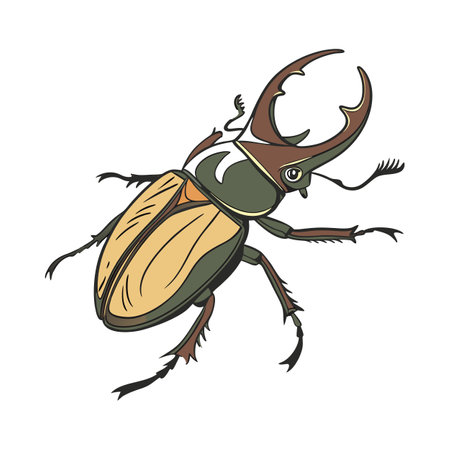 Creative Diapherodes Gigantea Graphicのイラスト素材