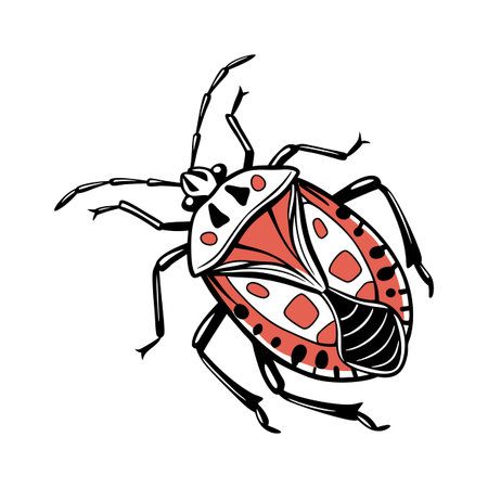 Creative Dolycoris Baccarum Graphic