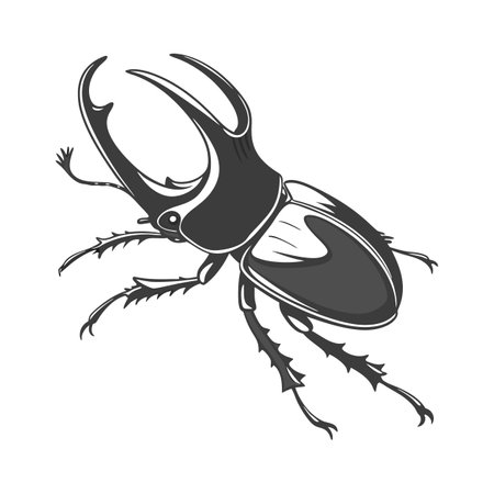 Stylish Dynastes Hercules Illustrationのイラスト素材