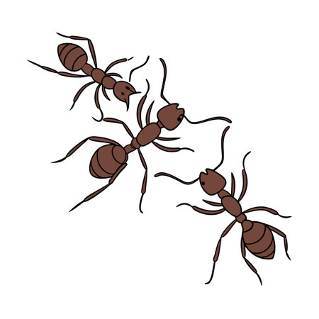 Eciton Burchellii Ant Design 1のイラスト素材