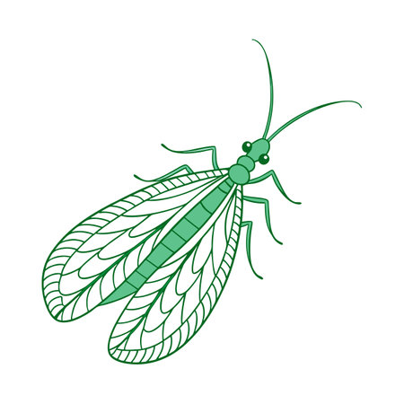Beautiful Green Lacewing Designのイラスト素材
