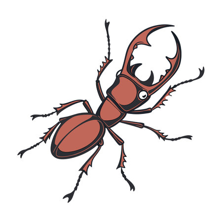 Harpegnathos Venator Ant Design 1のイラスト素材