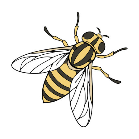 Creative Eristalis Tenax Graphic 2のイラスト素材