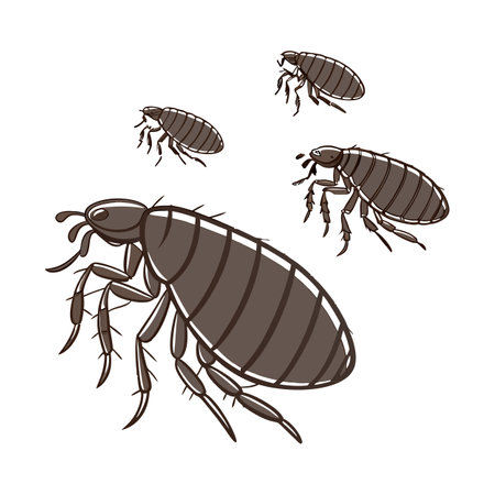 Fleas Group Design 1 on Whiteのイラスト素材