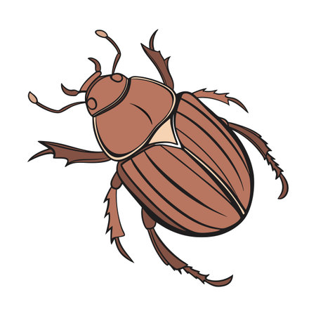 Eurygaster Bug Design 2のイラスト素材