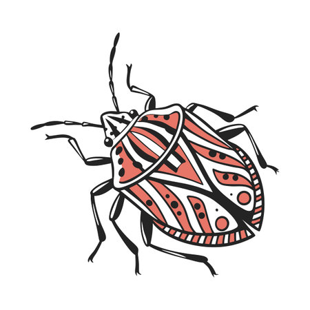 Beautiful Graphosoma Italicum Design