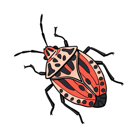 Creative Graphosoma Graphic 2