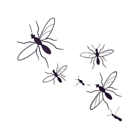 Creative Gnats Graphic 2のイラスト素材