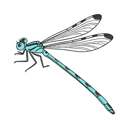 Ischnura Elegans on Bright White Surfaceのイラスト素材