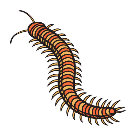 Millipede Displayed on Clean White Surfaceのイラスト素材