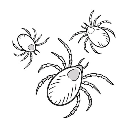 Dramatic View of Mites on White Surfaceのイラスト素材