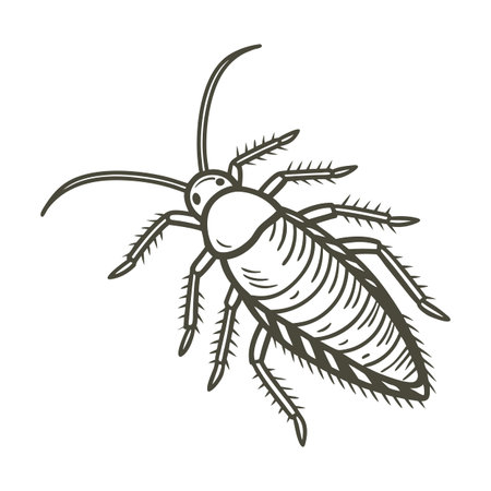 Showcase of Mecopoda Elongata on Clean White Surface
