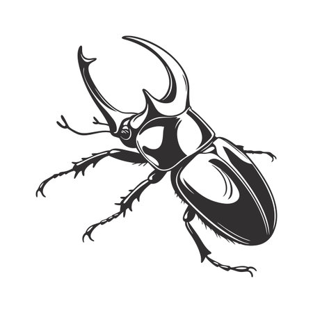 Display of Megasoma Elephas on Clean White Surfaceのイラスト素材
