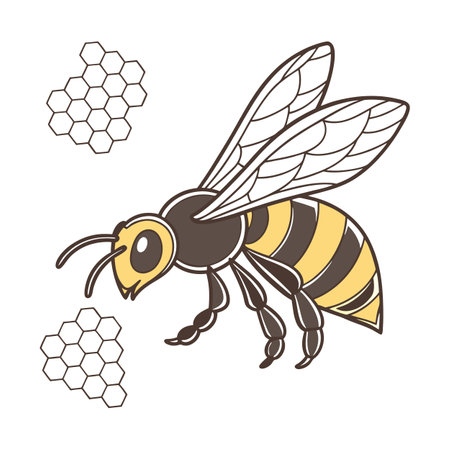 Display of Megachile Pluto on Clean White Backgroundのイラスト素材