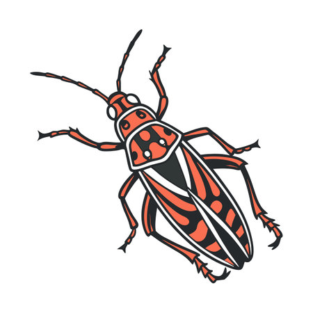 Myrmeleotettix Maculatus Featured on Bright White Surfaceのイラスト素材