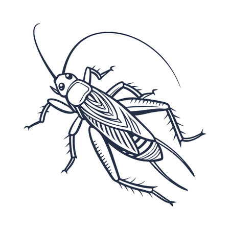 Dramatic View of Oecanthus on Clean White Backgroundのイラスト素材