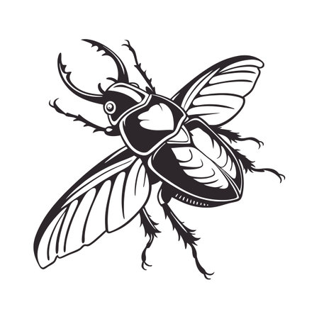 Showcase of Osmoderma Eremita on Clean White Backgroundのイラスト素材