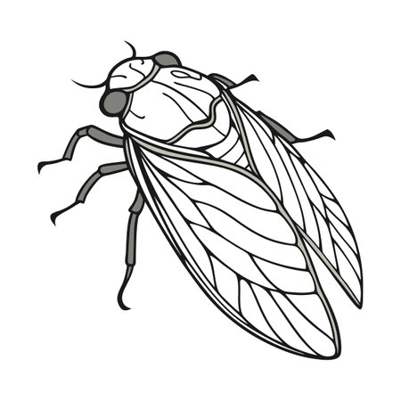 Philaenus Spumarius Displayed on Clean White Surfaceのイラスト素材