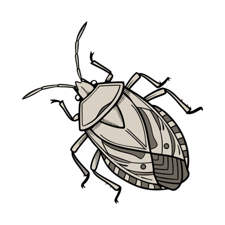 Dramatic Capture of Stink Bug on White