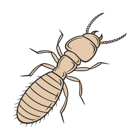 Dramatic Capture of Termite on Clean White Backgroundのイラスト素材