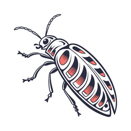 Dramatic View of Stenobothrus Lineatus on Whiteのイラスト素材