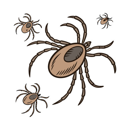 Ticks Featured on Bright White Surfaceのイラスト素材