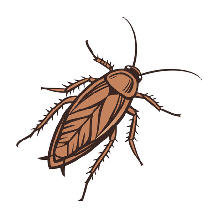 Blattella Germanica Cockroach Design on White