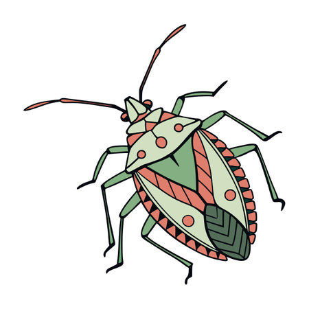 Unique Acanthosoma Insect Graphic on Whiteのイラスト素材