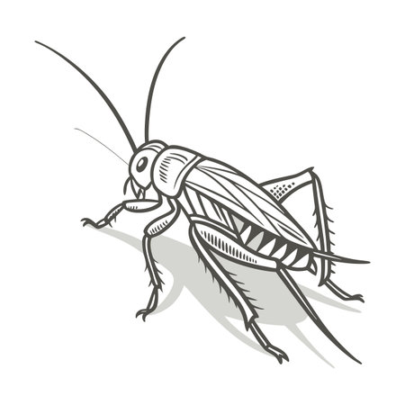 Stylish Cricket Designのイラスト素材