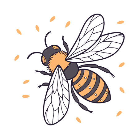 Beautiful Bee Design on White Backgroundのイラスト素材