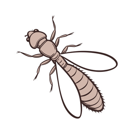 Reticulitermes Flavipes on Bright White Backgroundのイラスト素材