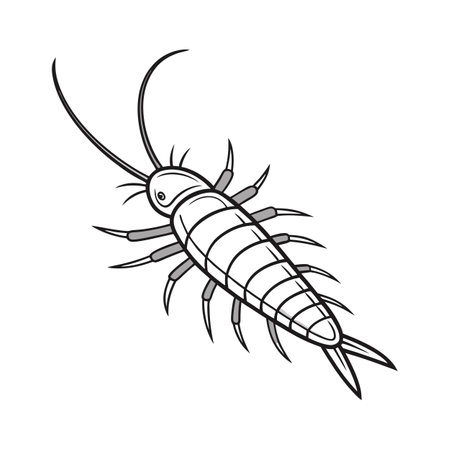 Dramatic View of Silverfish on Bright White Surfaceのイラスト素材