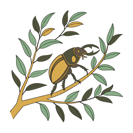 Stauroderus Featured on Bright White Surfaceのイラスト素材