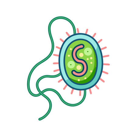 Helicobacter Pylori Bacteria with Spiral Flagellaのイラスト素材