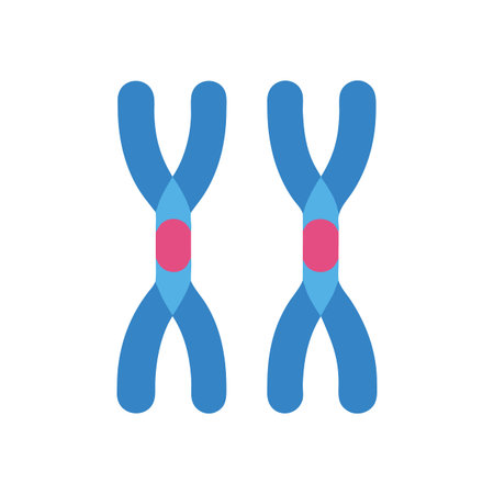 Pair of Chromosomes Illustration Isolated on Black Backgroundのイラスト素材