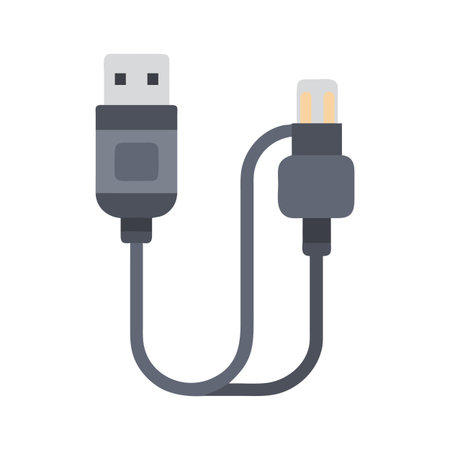Flat vector illustration of a USB to mini-USB cableのイラスト素材