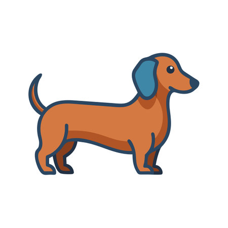 Cartoon Dachshund Dog Vector Graphic Illustration on Blackのイラスト素材