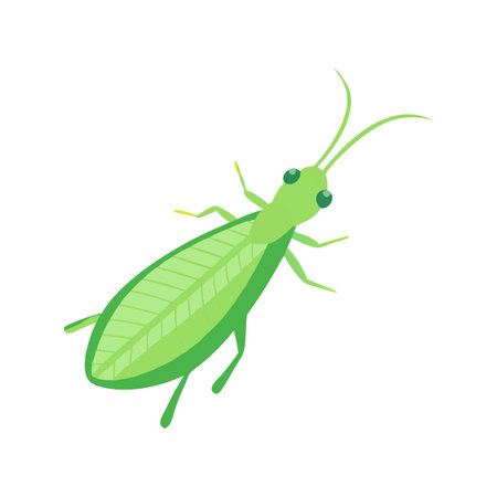 Green Grasshopper Illustration on Black Background Vector Graphicのイラスト素材